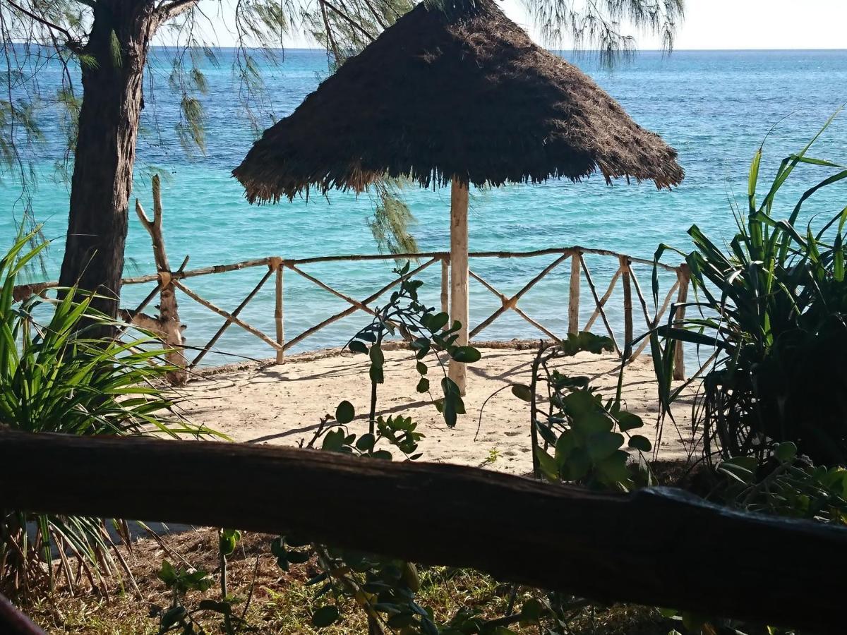 HOTEL COCO REEF ECOLODGE KIZIMKAZI (Tanzania) - from £ 48